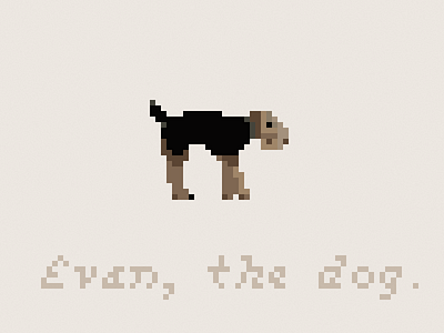 Evan dog pixel welsh terrier