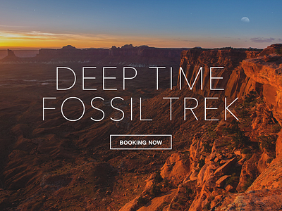 AstroTours: Deep Time Fossil Trek brand science travel web design