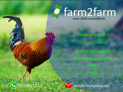 Poultry Business Card branding