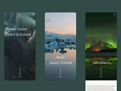 Designs for an Icelandic luxury travel agency bonsai design glacier homepage iceland luxury northern lights typography ui ux vip