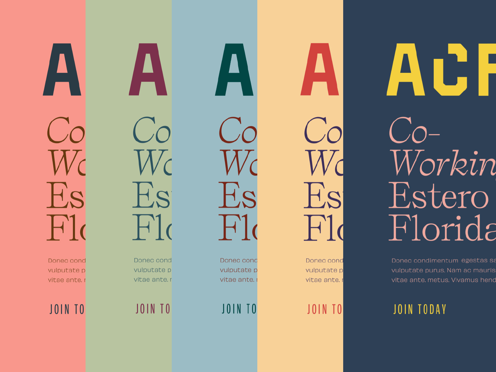 Acres of Color by Focus Lab on Dribbble