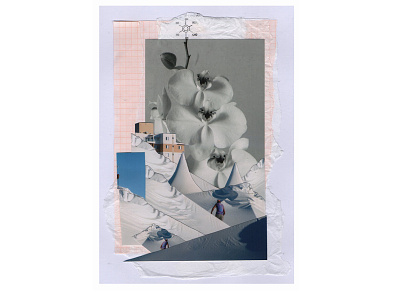 The impatient flowers collage collage art flower photography zine