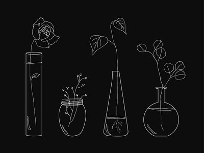 Vases adobe illustrator black and white botanical drawing flowers illustration leaves line art lineart lines plants silhoutte vases