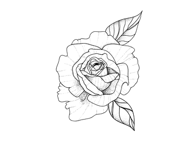 Rose tattoo black and white design drawing flower illustration lineart rose tattoo art