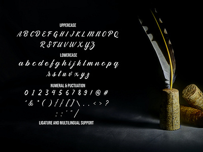 Display Font