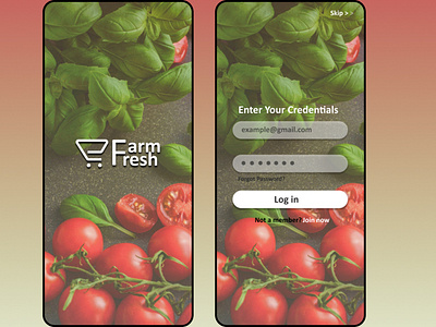 Online Grocery Store UI Concept