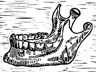 The Jaw anatomy art black fine hand illustration jaw print printmaking teeth white woodblock