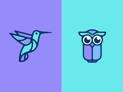 Hummingbird | Owl 