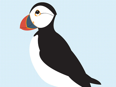 Puffin illo