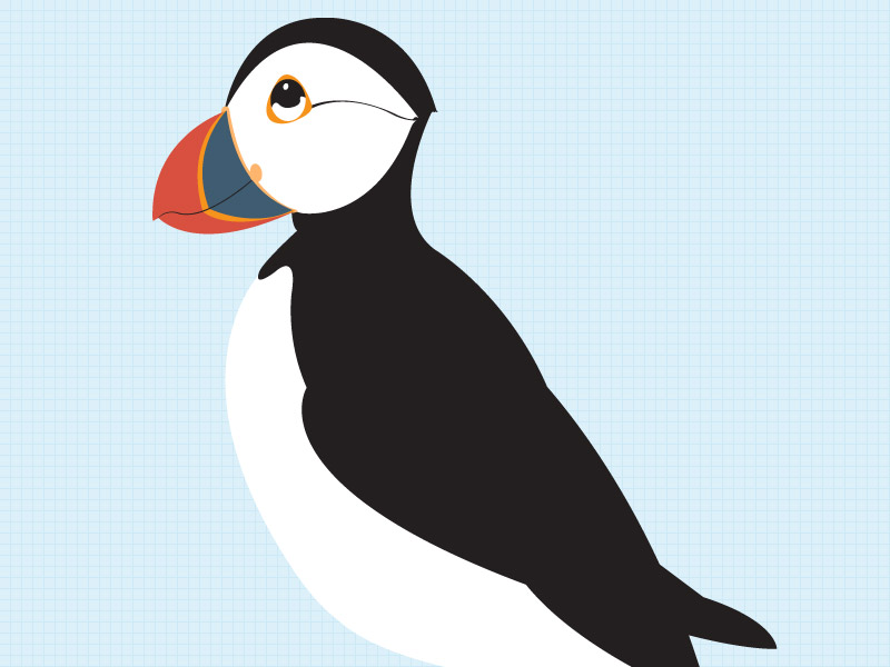 Puffin illo by Ultra Friends on Dribbble