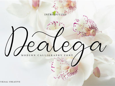 Dealega branding design fashion brand girls logo photography signature font typography ui women