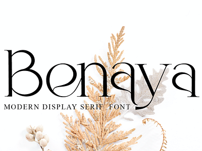 Benaya branding design fashion brand logo photography typography ui