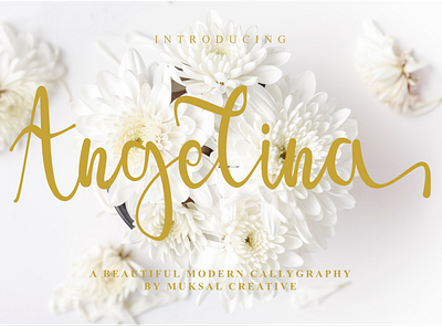Angelina branding fashion brand fashion design girls logo photography typography women