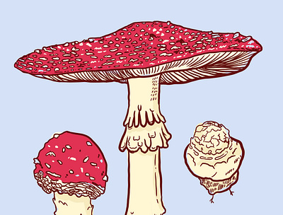 Amanita muscaria amanita amanita muscaria fungi fungus fungusamongus illustration muscaria mushroom nature plant trip wanderlust