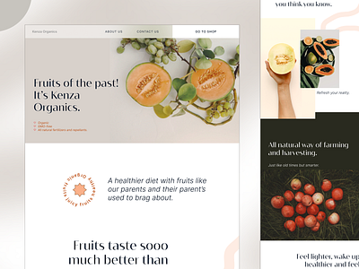 Web Design: Kenza Organics Landing Page