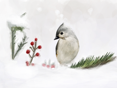 Winter Bird Study 1 art artwork bird bird illustration digital art digital illustration digital painting digitalart drawing drawingart illustration illustration art illustration digital nature nature art nature illustration painting snow study winter