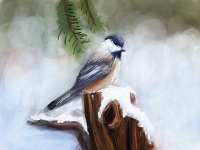 Winter Bird Study 3