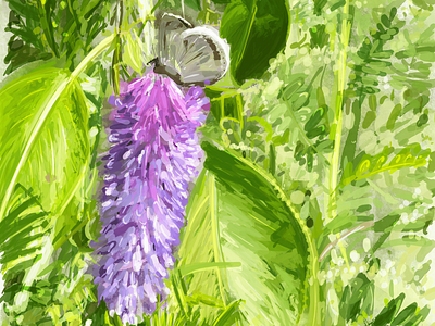 Wildflower Painting Study 1