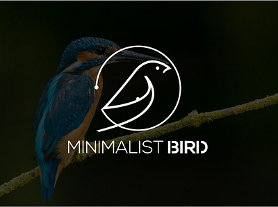 bird logo flat logo logo logo design minimal minimalist logo modern logo vector
