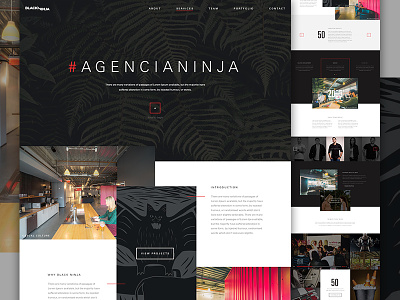 Black Ninja agency dark elegant seagull exploded grid grid landing ninja one page type web