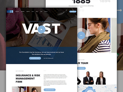 VAST agency blue business corporate elegant seagulls financial history insurance management professional responsive wordpress