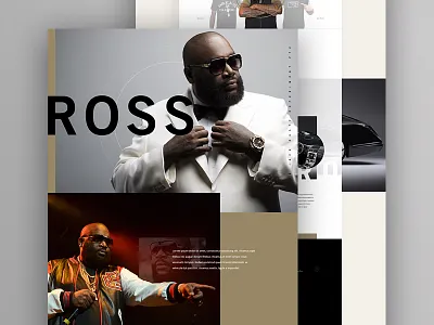 Hood Billionaire e commerce ecommerce elegant seagulls exploded grid itunes music player rick ross shop type