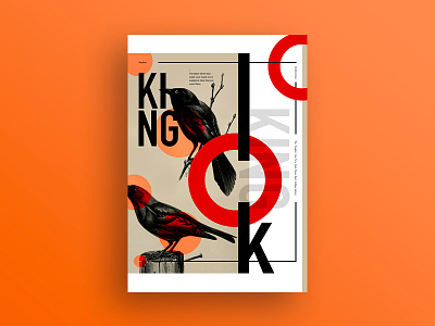 King authors birds book cover elegant seagulls lull land overlay poster type