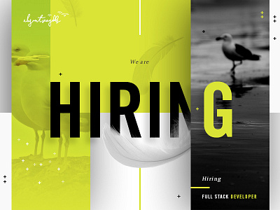 We're Hiring developer full stack green hiring seagulls