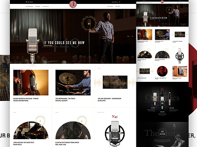 AEA Concept artist blog e commerce ecommerce microphone music music player store