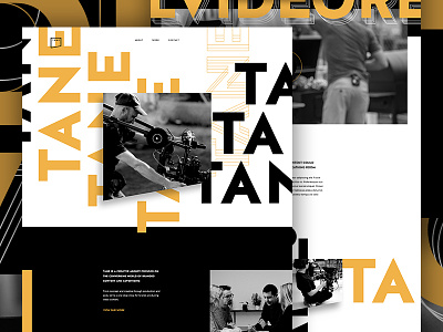 Tane Concept 1 agency agency landing page type typography video website whitespace