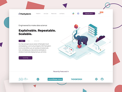 Pachyderm Motion b2b business data geometic illustraion isometric art landing motion science