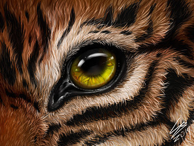 Tiger's eye animal animal art animals big cat eye feral fur macro realism realistic realistic drawing realistic painting speedpaint tiger tigers zoom