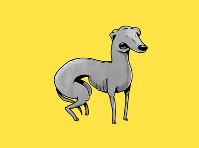 Italian Greyhound characters dog dogs greyhound illustration monochrome pet pets