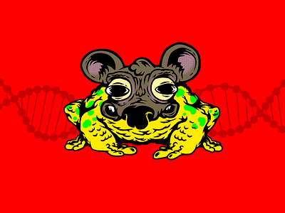 Toad Rat animals characters dna genetics humor illustration mix mixed mutants mutation rat toad