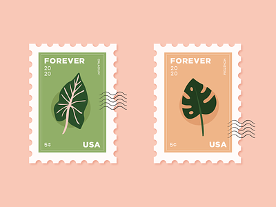 Plant Stamps caladium monstera plant plants postage stamp stamps usps vector vector illustration