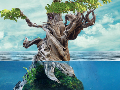 Earth Meets Water collage nature ocean photoshop tree water