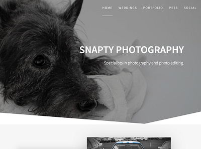 Snapty Site branding design graphic design logo typography web website