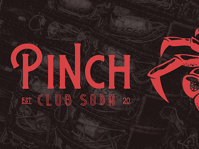 Pinch Branding branding cetti design pinch