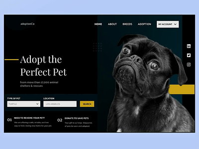 AdoptionCo adobe xd blue clean daily dailyui dog figma homepage inspiration landing pet responsive simple sketch typeface ui ux webpage website yellow