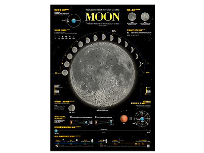 2201-02 The Moon 203x data visualization design editorial design graphic design infographic poster streeth