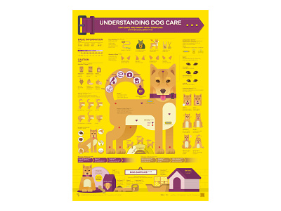 Understanding Dog Care chart data visualization dog editorial design graphic design illustration infographic infographic design poster streeth typography