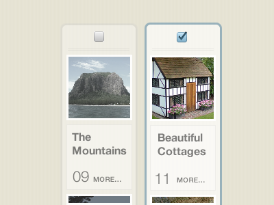 Selectable bookmark images light selection
