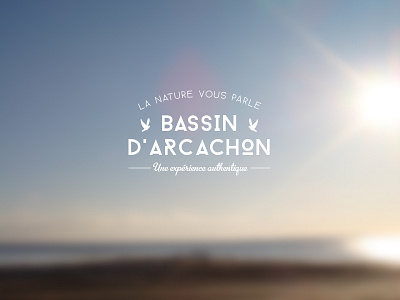 Bassin d'Arcachon logo