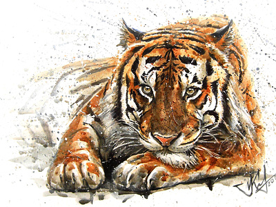 Tiger watercolor painting animals bengal india kostart predator tiger watercolor wildlife