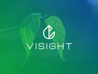 Minimal Logo Design for VISIGHT