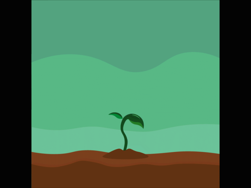 Sprout animation app design gif illustration