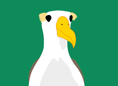 Albatross design illustration