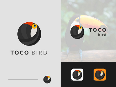 TOCO bird logo design app bird branding circle logo design flat icon illustration logo toco vector web