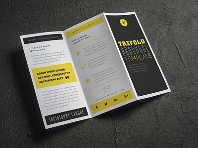 Trifold Brochure