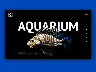 Aquarium dark ui darkmode fish ui userinterface webdesign